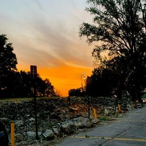 Meet your Posher, Jadyn